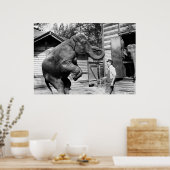 象のトリック， 1910年代 ポスター (キッチン)