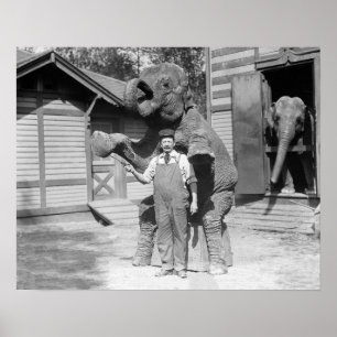 象のトリック, 1915年。ヴィンテージ写真 ポスター