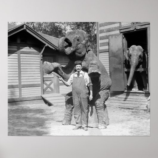 象のトリック, 1915年。ヴィンテージ写真 ポスター (正面)