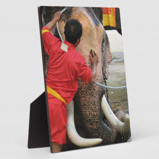 象のバスタイム…アユタヤ（タイ） フォトプラーク (側面)