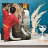 象のバスタイム…アユタヤ（タイ） フォトプラーク (側面)