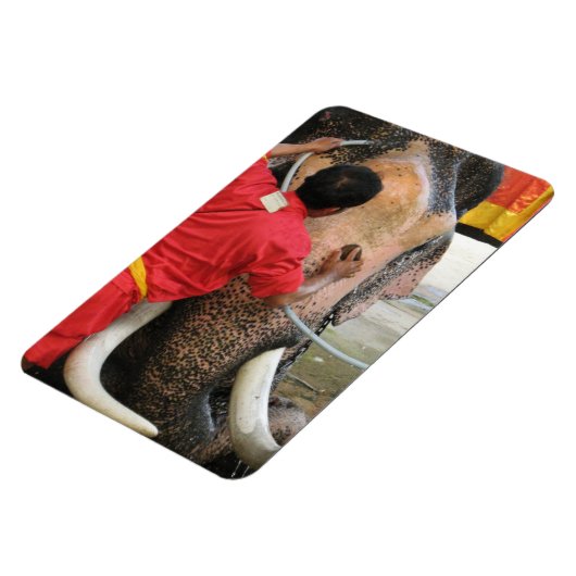 象のバスタイム…アユタヤ(タイ) マグネット (左側)