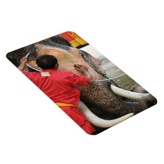 象のバスタイム…アユタヤ(タイ) マグネット (右側)