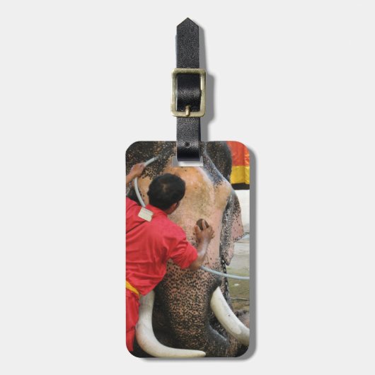 象のバスタイム…アユタヤ（タイ） ラゲッジタグ (正面縦)