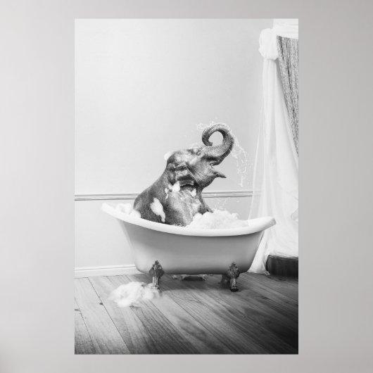 象のバスタブ ポスター (正面)