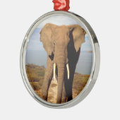 象のビーチの日帰り メタルオーナメント (左)