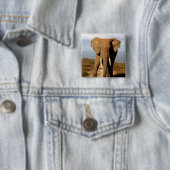 象のビーチの日帰り 缶バッジ (インサイチュ)