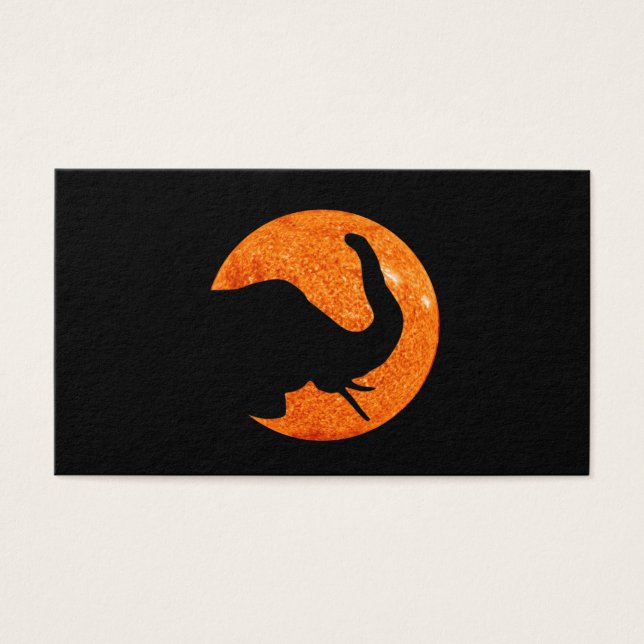 象のプロフ太陽のァイルEclipseの影 (正面)