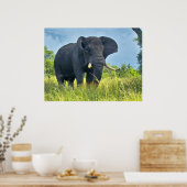 象のポスター ポスター (キッチン)