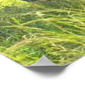 象のポスター ポスター (角)