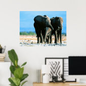 象のポスター ポスター (ホームオフィス)