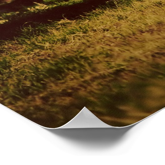 象のポスター ポスター (角)