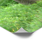 象のポスター ポスター (角)