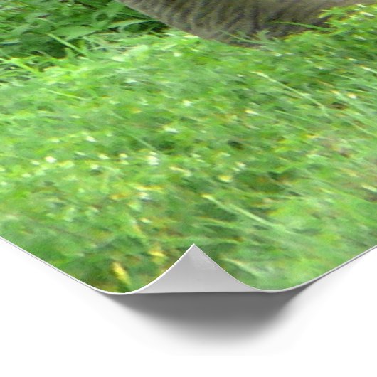 象のポスター ポスター (角)