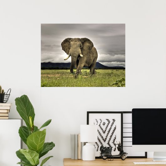 象のポスター ポスター (ホームオフィス)
