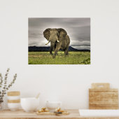 象のポスター ポスター (キッチン)