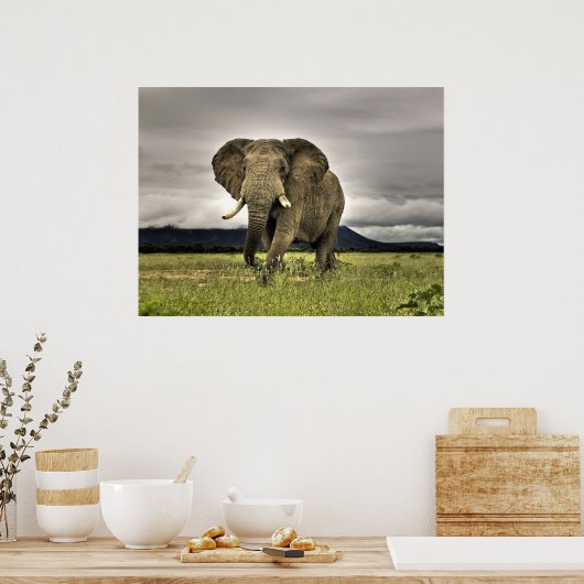 象のポスター ポスター (キッチン)