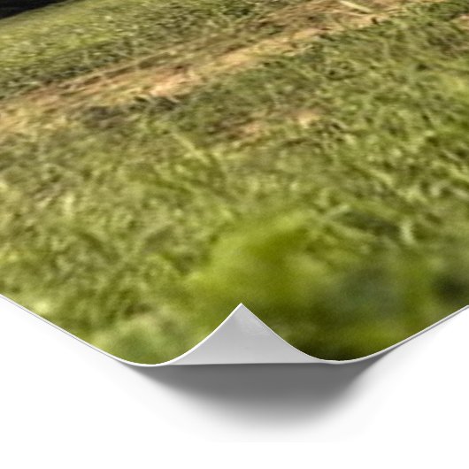 象のポスター ポスター (角)