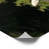 象のポスター ポスター (角)