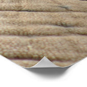 象のポスター ポスター (角)