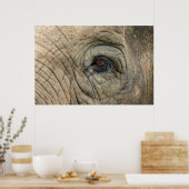 象のポスター ポスター (キッチン)