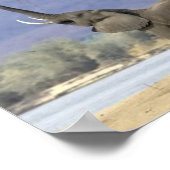 象のポスター ポスター (角)