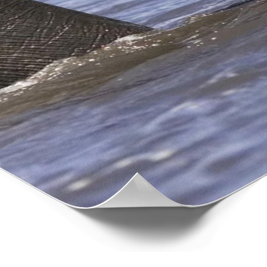 象のポスター ポスター (角)