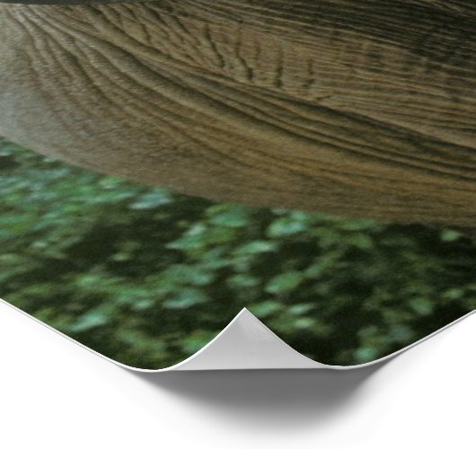 象のポスター ポスター (角)