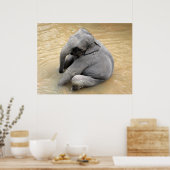 象のポスター ポスター (キッチン)