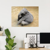 象のポスター ポスター (ホームオフィス)