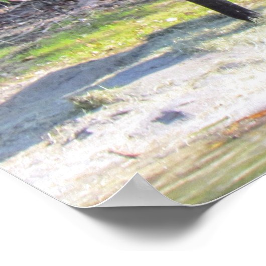 象のポスター ポスター (角)