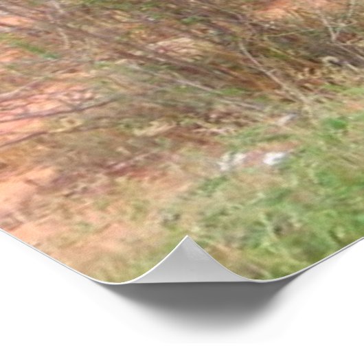 象のポスター ポスター (角)