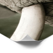 象のポスター ポスター (角)