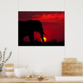 象のポスター ポスター (キッチン)