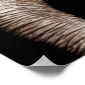 象の写真の画像 ポスター (角)