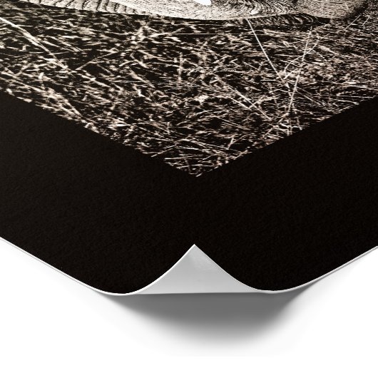 象の写真アフリカのアートPORTFOLIOサイズ ポスター (角)