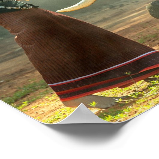 象の写真ポスターを飾った美しい少女 ポスター (角)