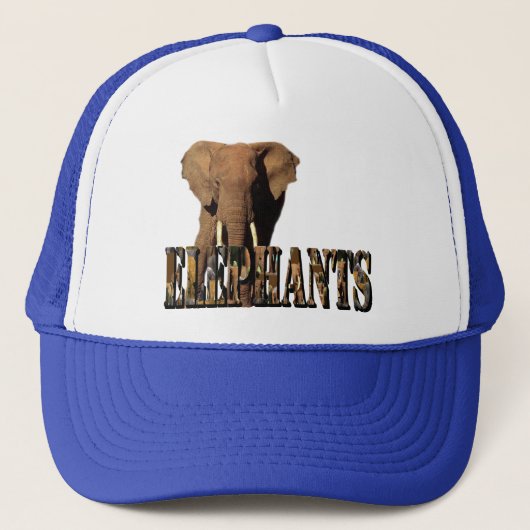 象の写真ロゴ象から作られた キャップ (正面)