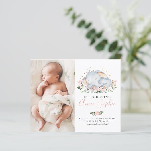 象の写真予算の誕生発表カード (スタンド正面)