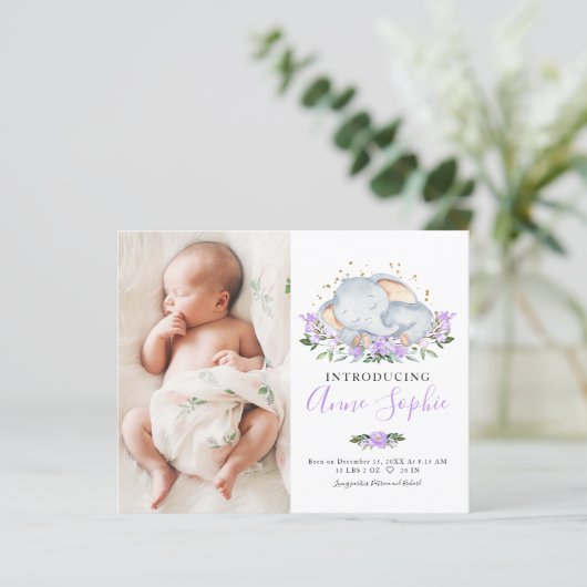 象の写真予算の誕生発表カード (スタンド正面)