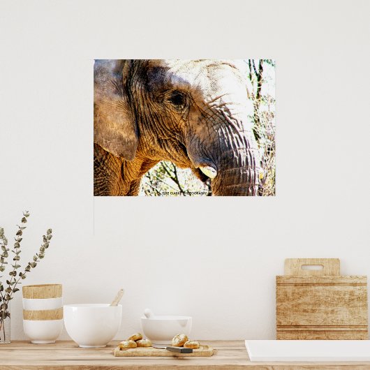 象の写真 ポスター (キッチン)