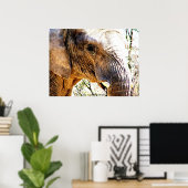 象の写真 ポスター (ホームオフィス)