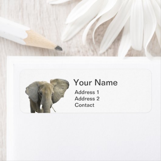 象の動物の写真 ラベル (インサイチュ)