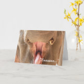 象の口のハッピーバースデーカード カード (黄色い花)