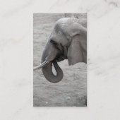 象の名刺 名刺 (裏面)