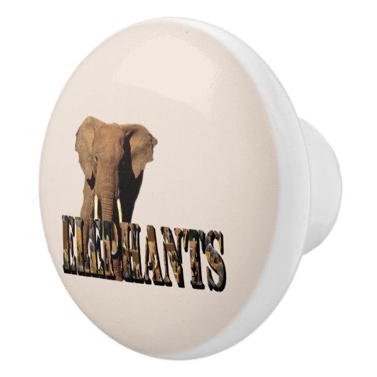 象の名前はゾウからできている。 セラミックノブ (右)
