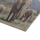 象の子牛との母象の歩く カッティングボード (角)