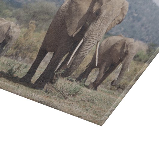 象の子牛との母象の歩く カッティングボード (角)