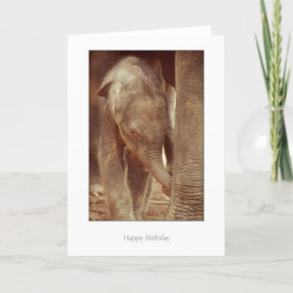 象の子牛のバースデー・カード カード