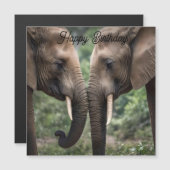 象の家族の愛 (正面/裏面)